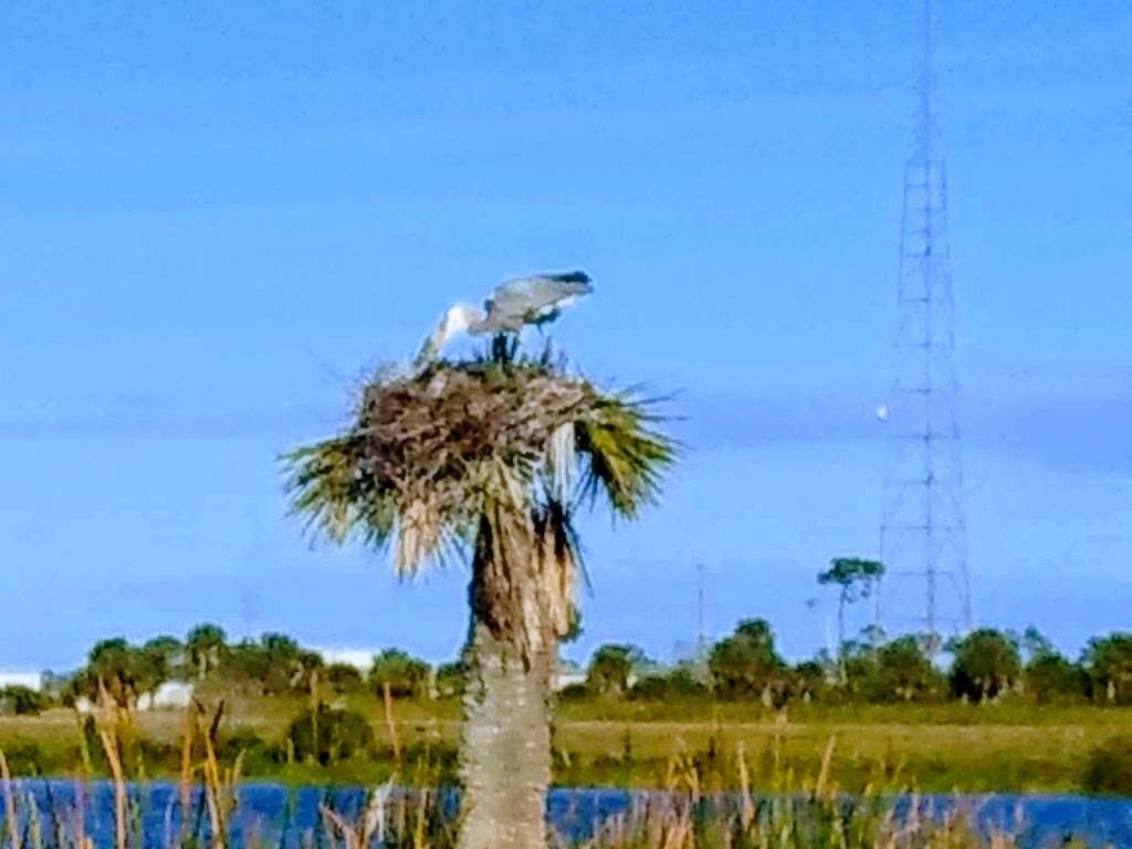 Ritch Grissom Memorial Wetlands | 3658 Charlie Corbeil Way, Viera, FL 32940, USA | Phone: (321) 637-5521