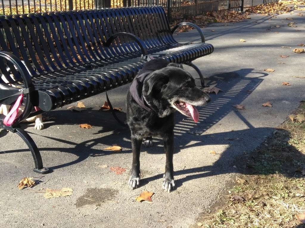 Easton Dog Park | Easton, PA 18042, USA