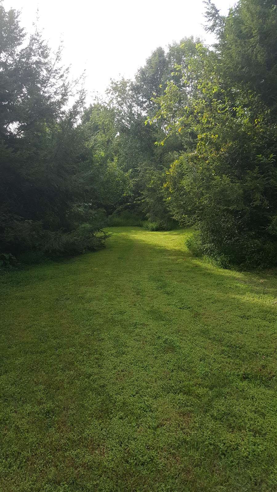 Passive Open Area (Private Property) | 6200-6298 Quadratic Dr, Mt Airy, MD 21771, USA