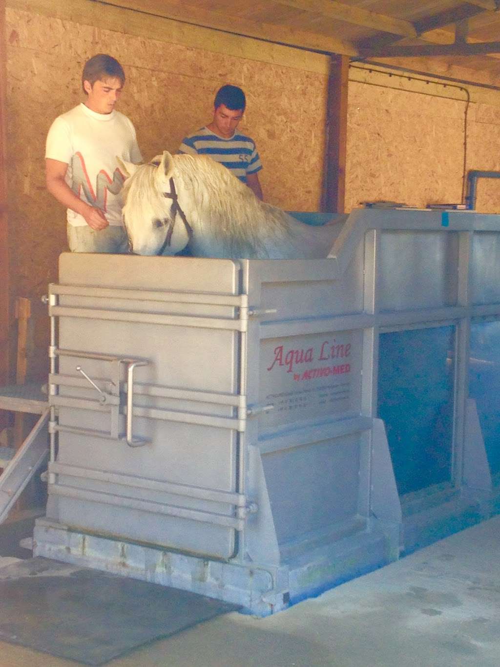 Surrey Equine Water Treadmilll | Horley, Horse Hill, Reigate RH6 0HN, UK | Phone: 07808 400847