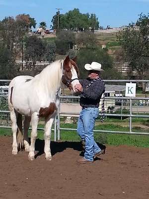 Ride Above Disability Therapeutic Riding Center | 15529 Sycamore Canyon Rd, Poway, CA 92064, USA | Phone: (858) 209-5662