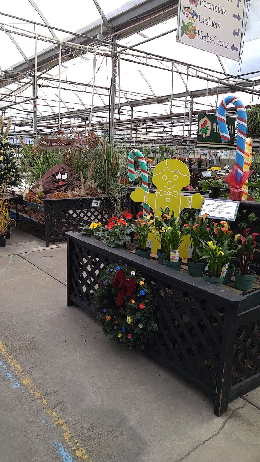 Esbenshades Garden Centers & Greenhouse | 546 E 28th Division Hwy, Lititz, PA 17543, USA | Phone: (717) 626-7007