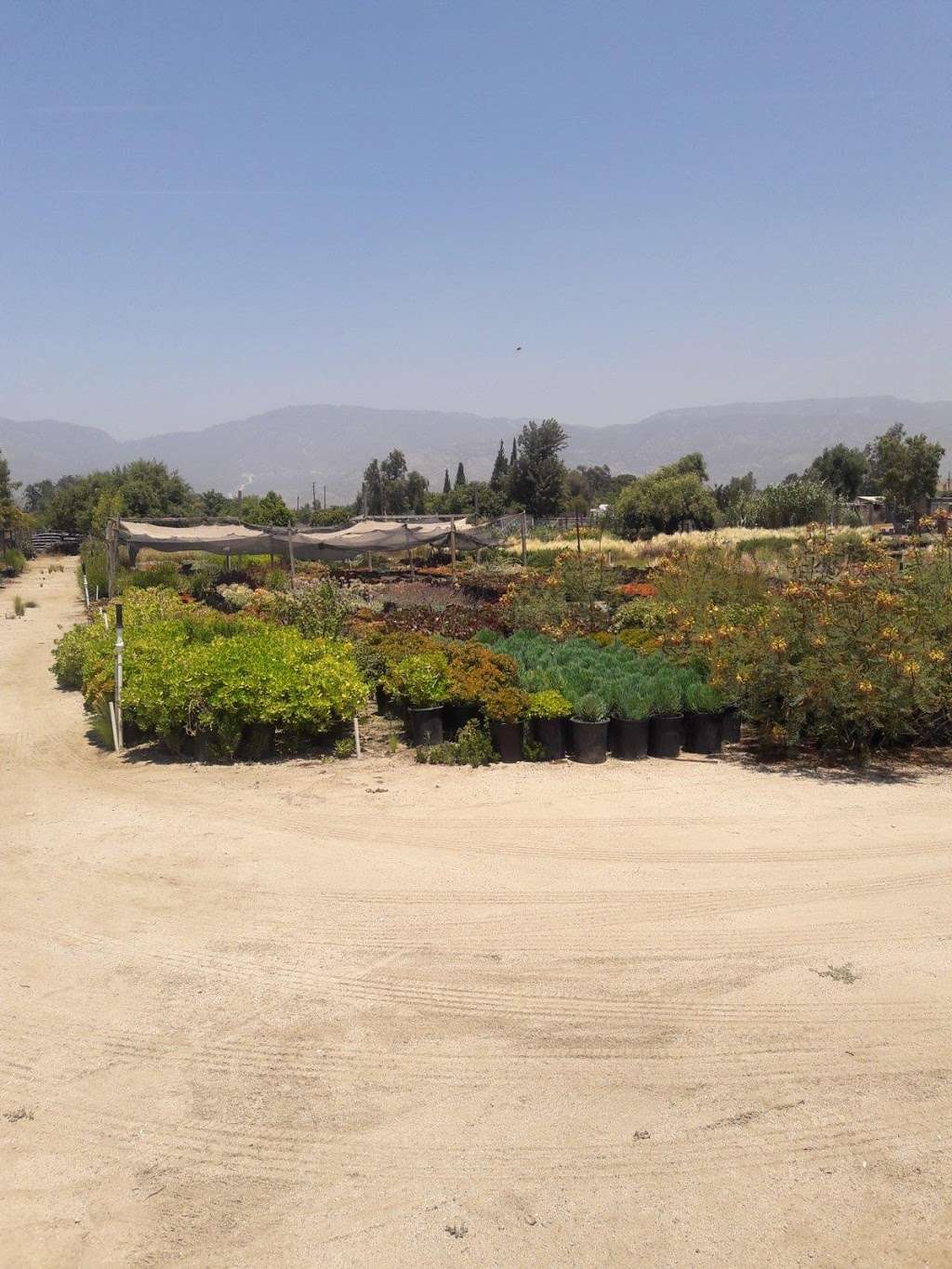 Ralphs Nursery landscape | 2178 Kern St, San Bernardino, CA 92407, United States | Phone: (951) 963-0121