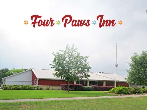 Four Paws Inn | 8815 FM1976, Converse, TX 78109, USA | Phone: (210) 801-9788