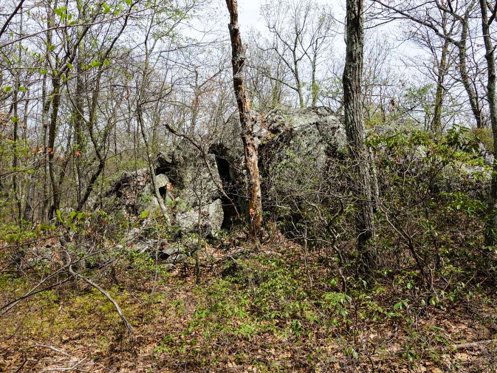 Appalachian Trail | Hewitt, NJ 07421