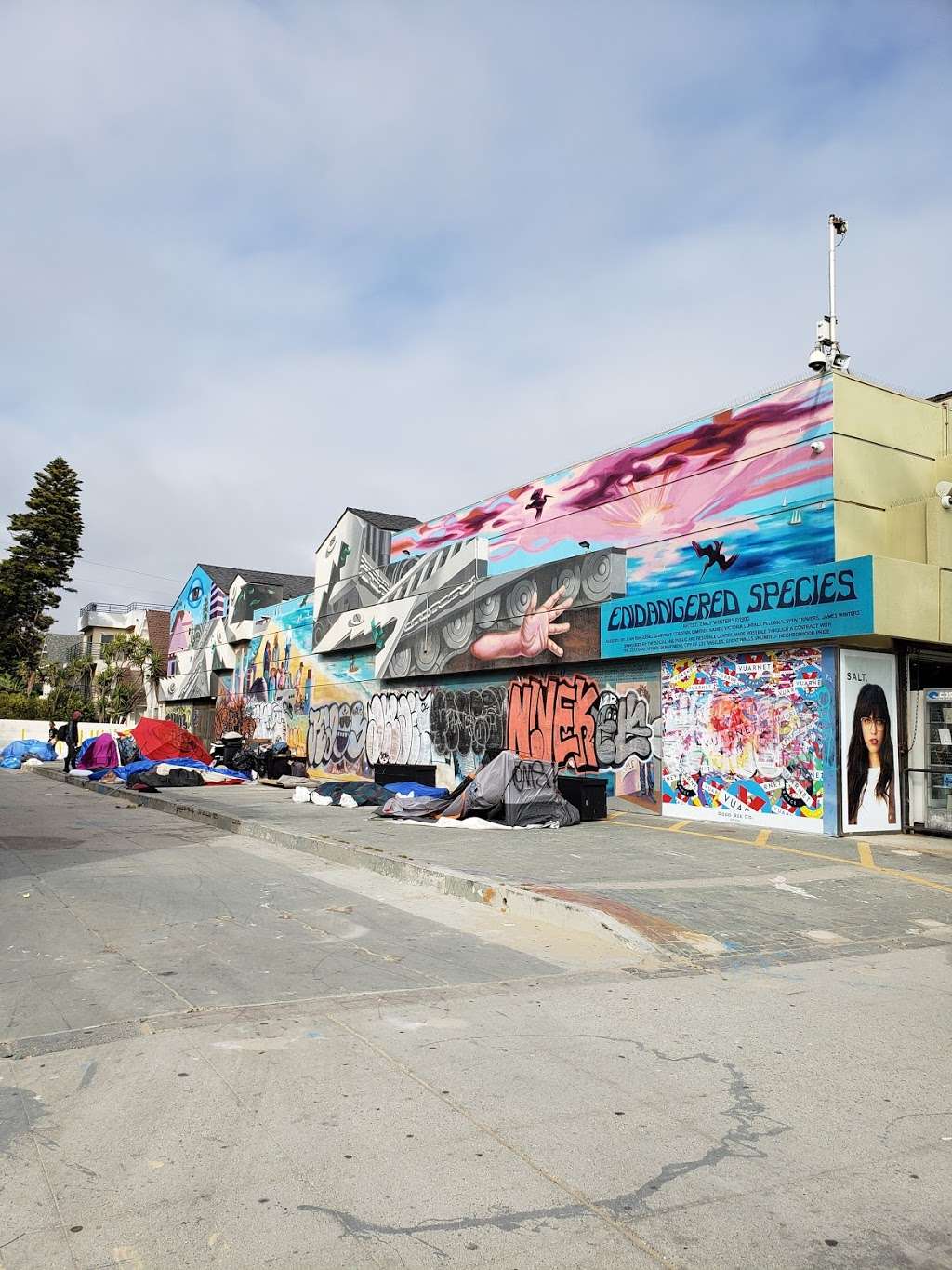 Pink Elephant Espresso Bar | STE#2, 801 Ocean Front Walk, Venice, CA 90291, USA | Phone: (424) 744-8336