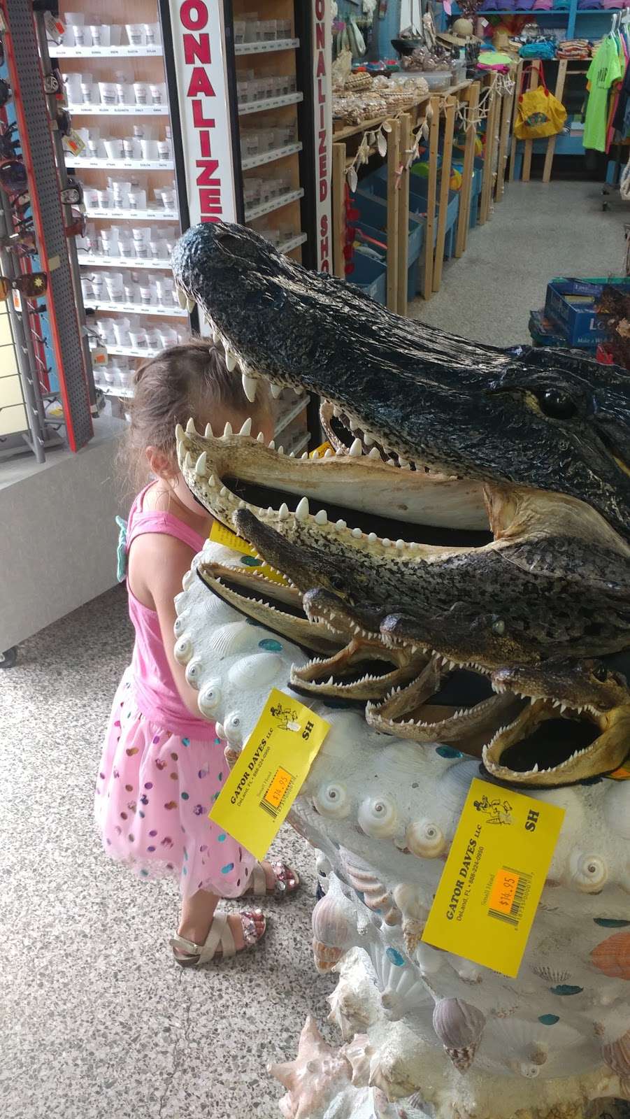 Sea Shell City | 2100 Broadway Ave, Riviera Beach, FL 33404, USA | Phone: (561) 844-2576