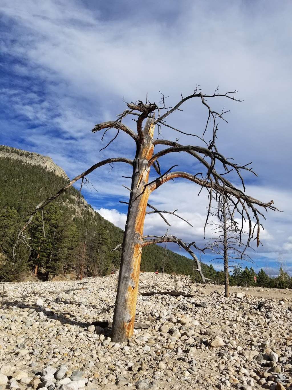 West Alluvial Fan Trailhead | Estes Park, CO 80517, USA