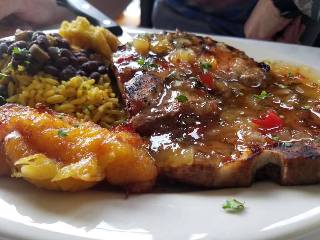 Spanish Olive | 399 Mantoloking Rd, Brick, NJ 08723, USA | Phone: (732) 701-3861