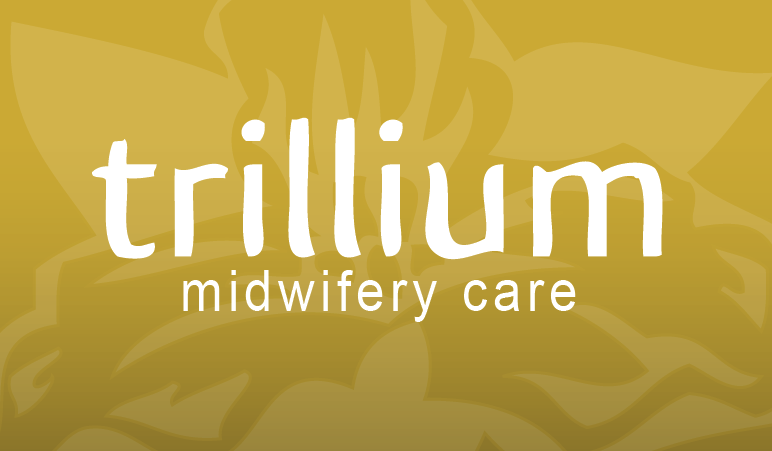 Trillium Midwifery Care | 32 Newton Ave S, Minneapolis, MN 55405, USA | Phone: (612) 298-2479