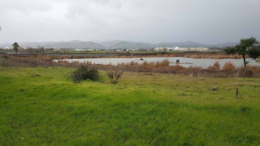 Dow Wetlands Preserve | 1200 W 4th St, Antioch, CA 94509, USA