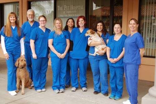 The Pet Hospital of Tierrasanta | 6030 Santo Rd # A, San Diego, CA 92124, USA | Phone: (858) 569-7777
