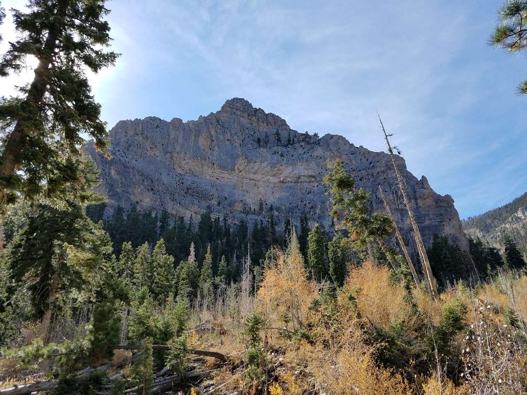 Cathedral Rock Group Picnic area | Mt Charleston, NV 89124, USA | Phone: (702) 872-5486