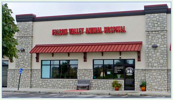 Falcon Valley Animal Hospital | 10111 Stevenson St, Lenexa, KS 66220 | Phone: (913) 764-7387