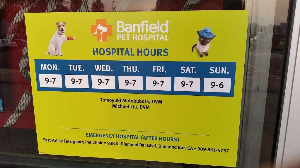 Banfield Pet Hospital | 21848 Valley Blvd, Walnut, CA 91789 | Phone: (909) 594-8293