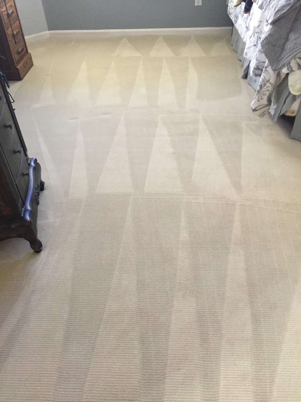 Coast Carpet Cleaners | 2408 Majano Pl, Carlsbad, CA 92009 | Phone: (760) 753-2364