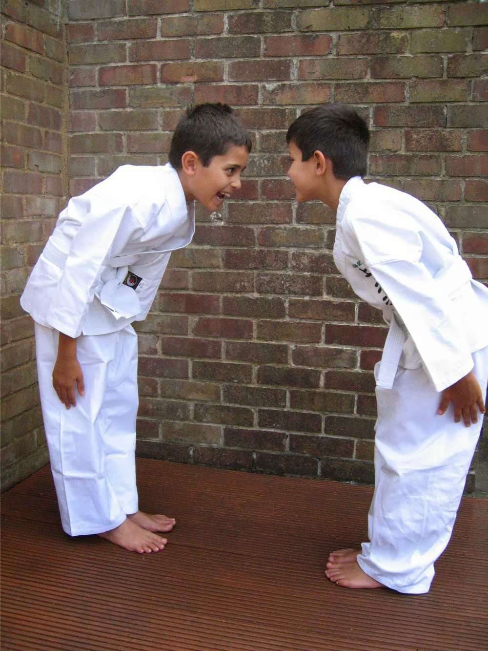 Essex Group of Uechi-Ryu Karate Clubs | South Green Memorial Hall, Southend Road, South Green, Billericay CM11 2PR, UK | Phone: 07807 446178