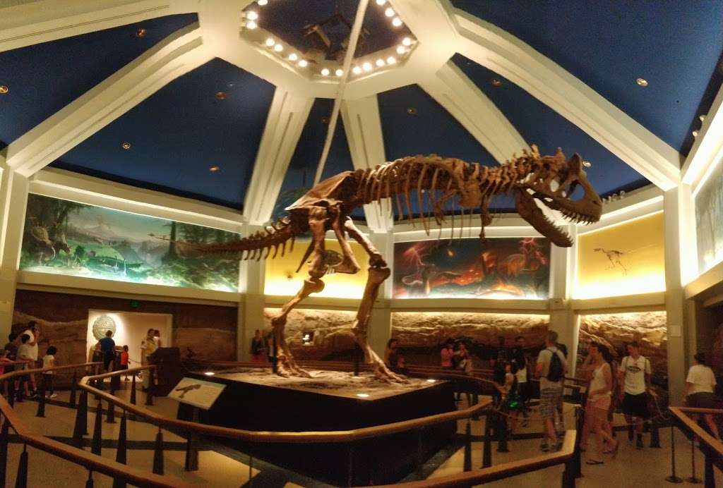 DINOSAUR | 2901 W Osceola Pkwy, Orlando, FL 32830, USA | Phone: (407) 939-5277