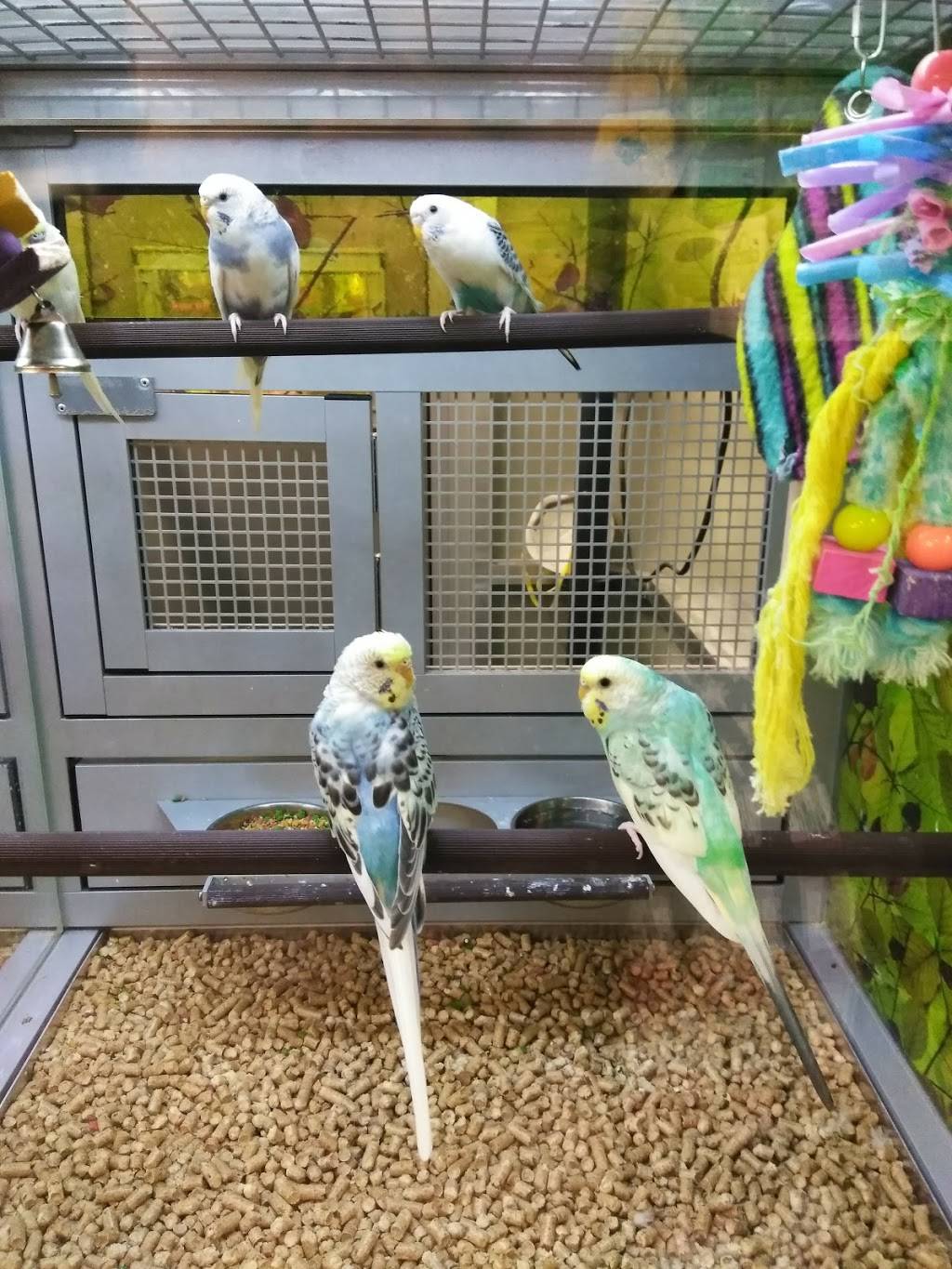 Antioch Crossing | 5261 NE Antioch Rd, Kansas City, MO 64119, USA | Phone: (816) 353-5555