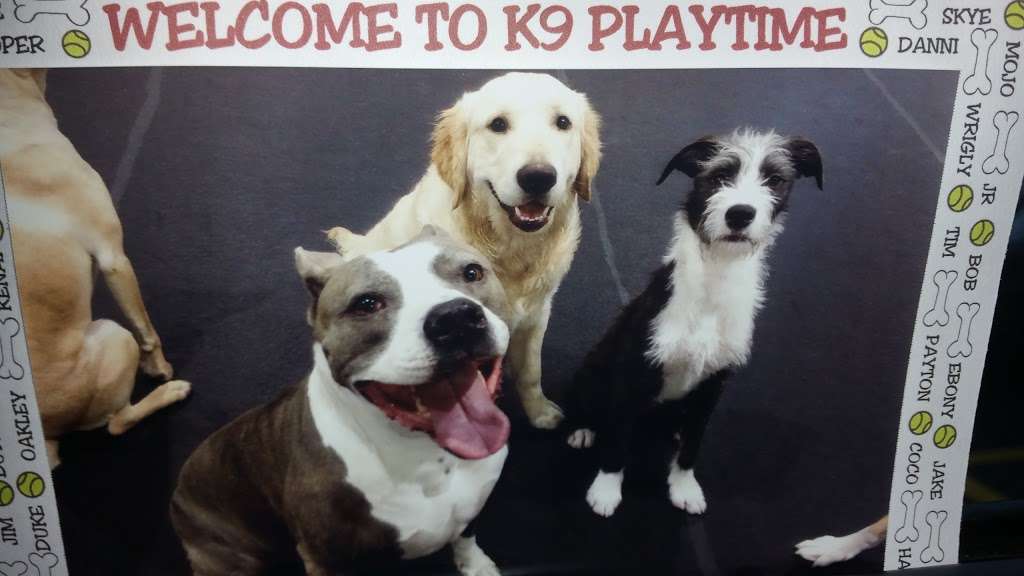 K-9 Play Time | 403 Washington Blvd # 1, Mundelein, IL 60060 | Phone: (847) 970-7529