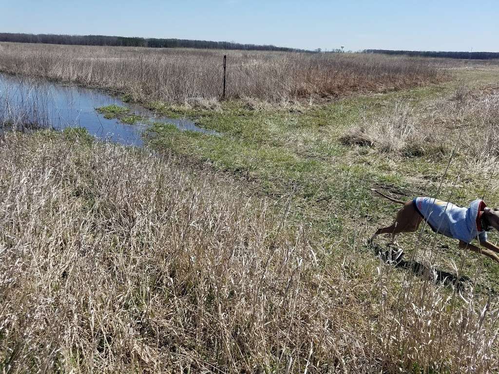 Forest Preserves of Cook County | I-57, Matteson, IL 60443, USA | Phone: (800) 870-3666