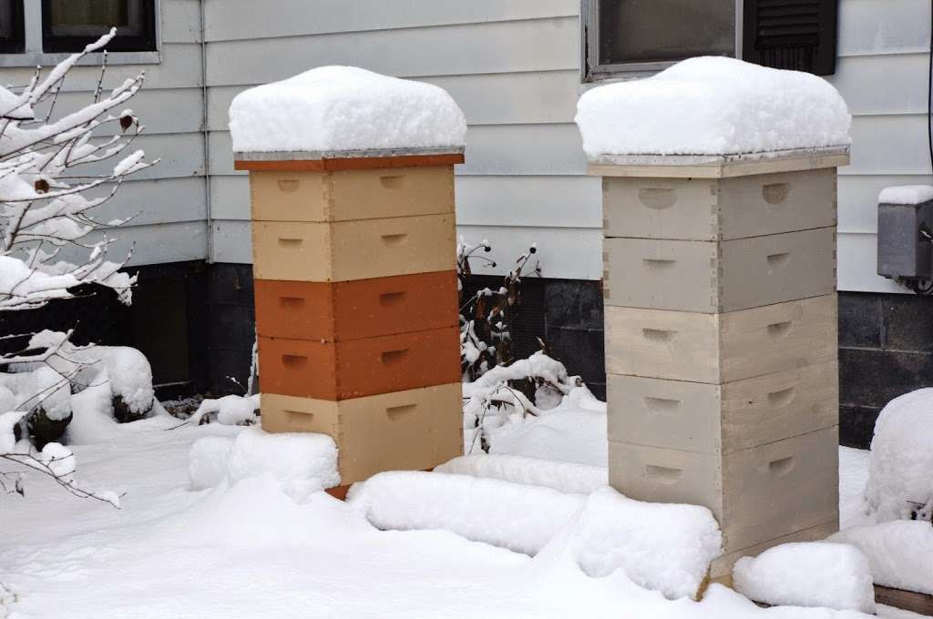 Golden Thread Apiary, LLC | 515 Mason St, Chenoa, IL 61726, USA | Phone: (309) 444-6030