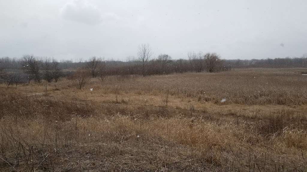 Otter Creek Bend Wetland - Natural Area | 6N850 Crane Rd, St. Charles, IL 60175, USA