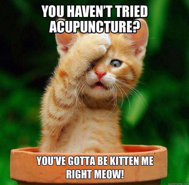 Acupuncture Bishop | 13005 Southern Blvd #225, Loxahatchee, FL 33470 | Phone: (561) 707-8451