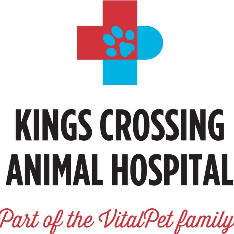 VitalPet - Kings Crossing Animal Hospital | 3425 W Lake Houston Pkwy, Humble, TX 77339, USA | Phone: (281) 360-5550