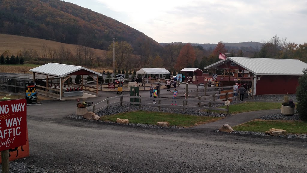 Pioneer Evergreen Farms | 159 E Adamsdale Rd, Orwigsburg, PA 17961, USA | Phone: (570) 366-2619