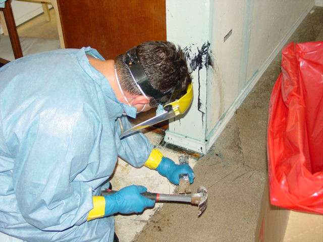 USA Decon | 3705 Halik St #1, Pearland, TX 77581, USA | Phone: (713) 850-0555