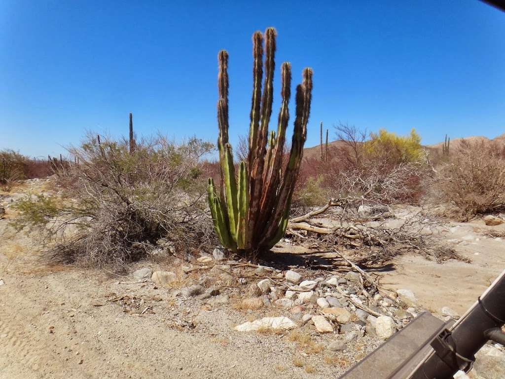 California Baja Rent A Car | 9245 Jamacha Blvd, Spring Valley, CA 91977, USA | Phone: (619) 470-7368