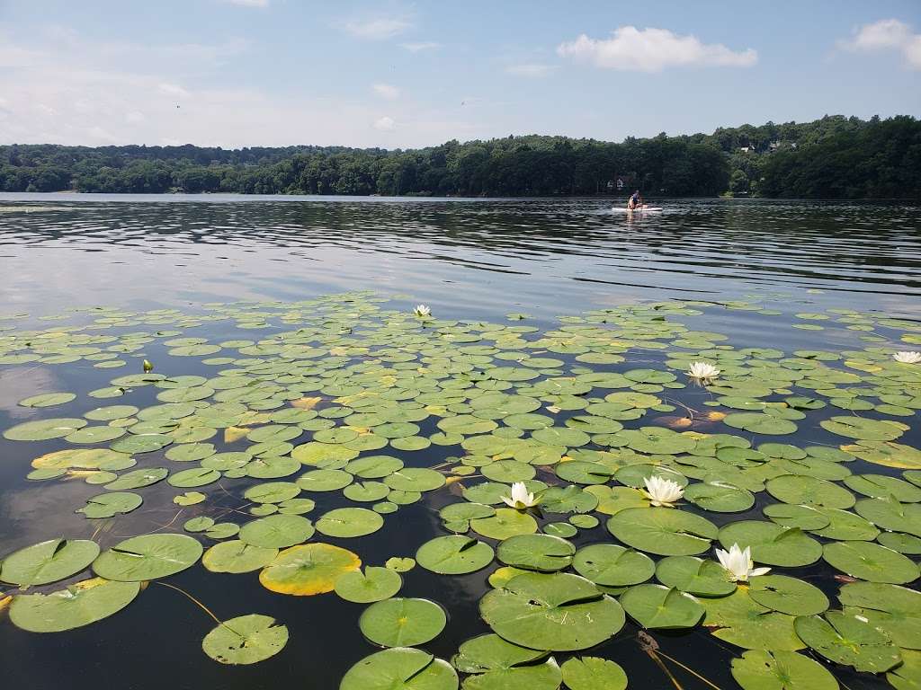 Shannon Beach | Mystic River Path, Winchester, MA 01890, USA | Phone: (617) 727-5380