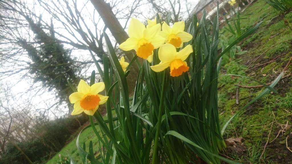 North Weald Bassett Parish Council | 138 High Rd, North Weald Bassett, Epping CM16 6BZ, UK | Phone: 01992 523825