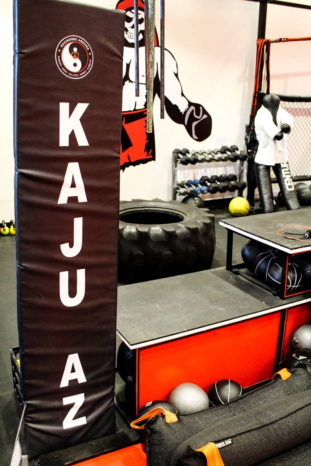 Kajukenbo AZ | 888 S Greenfield Rd #105, Gilbert, AZ 85296, USA | Phone: (480) 755-3008