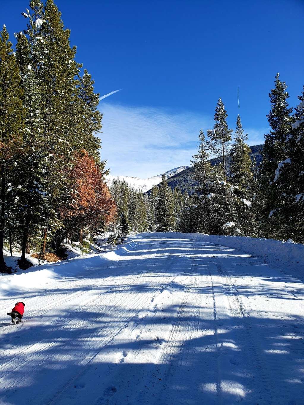 Jim Creek Trail | Idaho Springs, CO 80452, USA