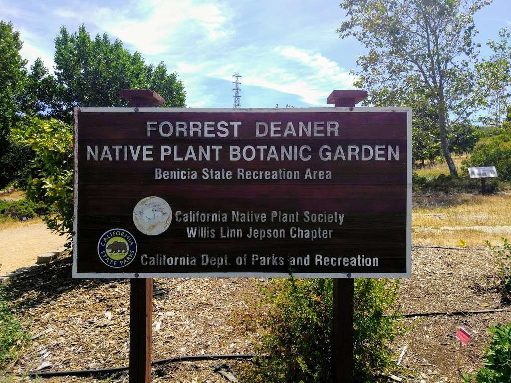 Forrest Deaner Native Plant Botanic Garden | Dillon Point Rd, Benicia, CA 94510