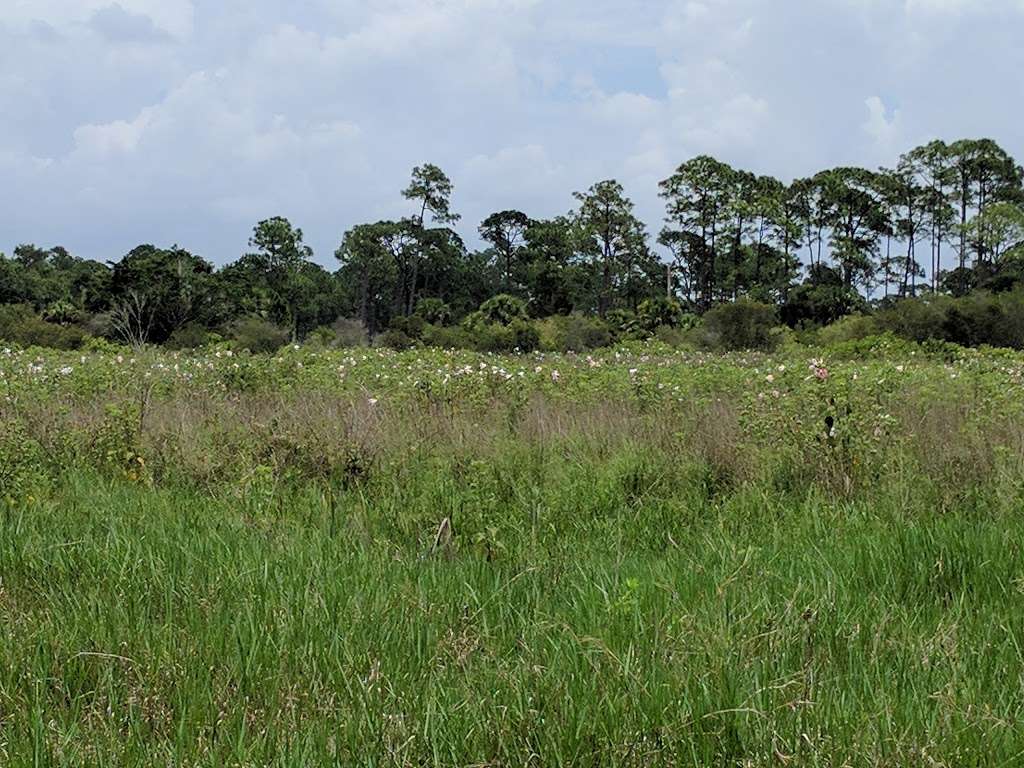 DuPuis Management Area | 23500 Southwest Kanner Highway, Canal Point, FL 33438, USA | Phone: (561) 924-5310