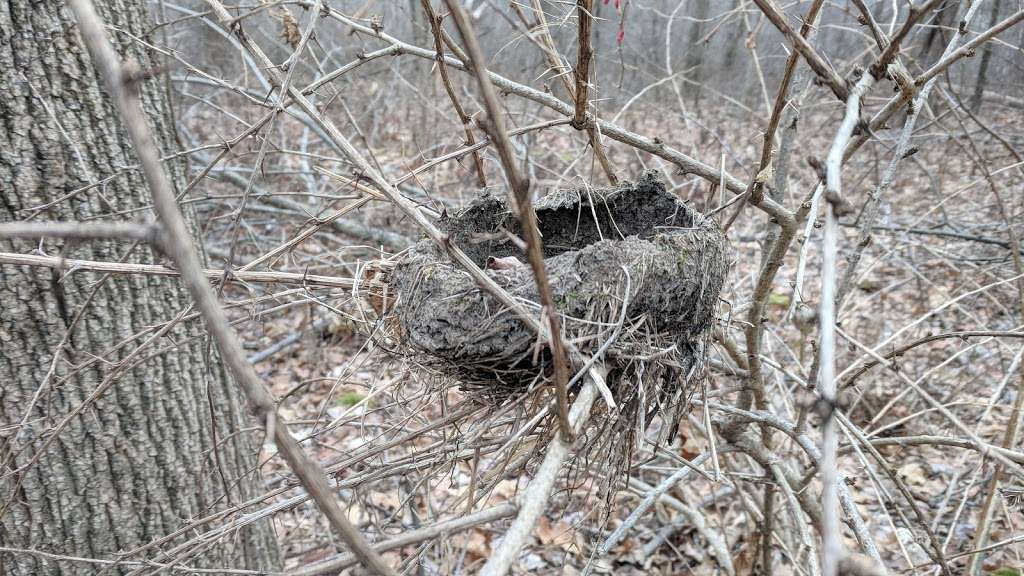 Fish Brook Reservation | 275 Chandler Rd, Andover, MA 01810, USA