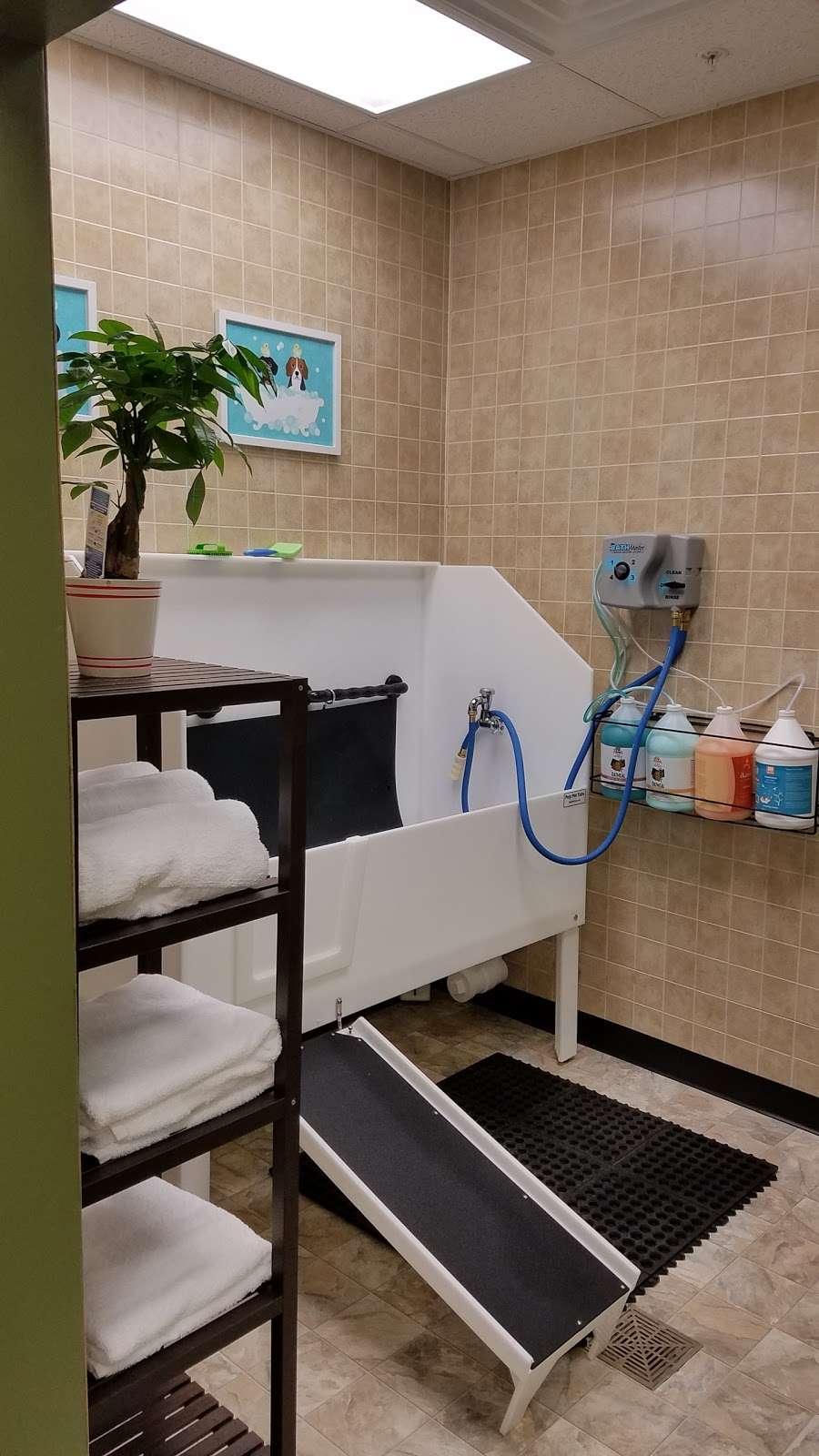 EarthWise Pet Supply & Grooming - Voorhees | 154 NJ-73, Voorhees Township, NJ 08043, USA | Phone: (856) 767-7387