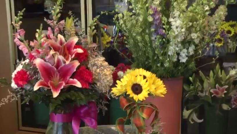 Bayview Florist & Garden Center | 2711 Zion Rd, Northfield, NJ 08225 | Phone: (609) 645-1491