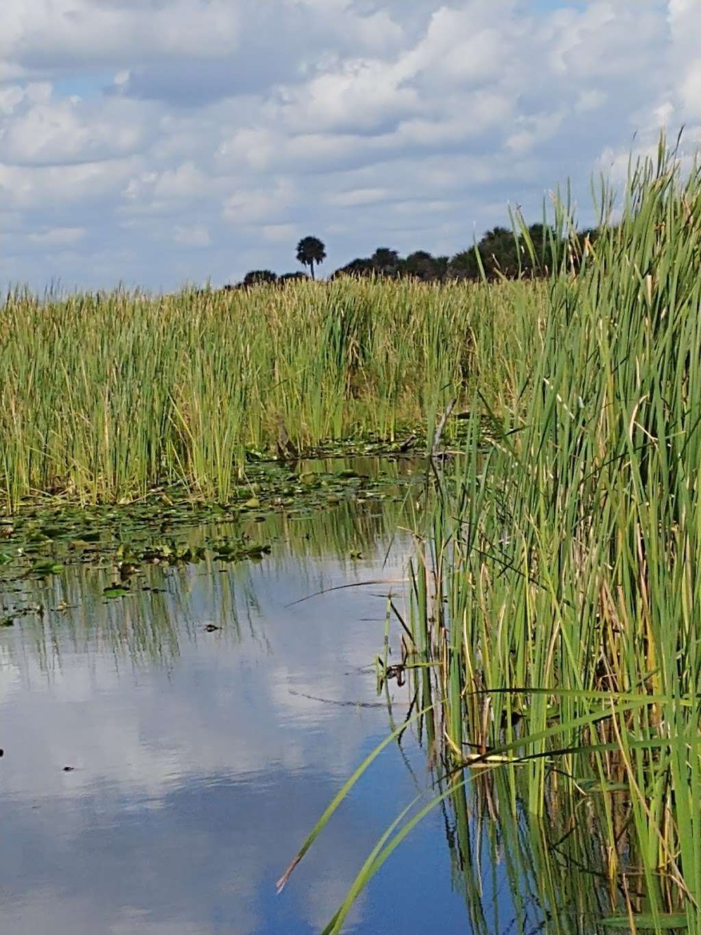 Upper St. Johns River Marsh Wildlife Management Area | Melbourne, FL 32904, USA | Phone: (386) 329-4404