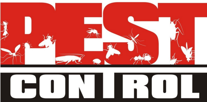 Termite & Pest Control - Crush Bugs | 6227 Johnson St, Hollywood, FL 33024, USA | Phone: (954) 815-5445