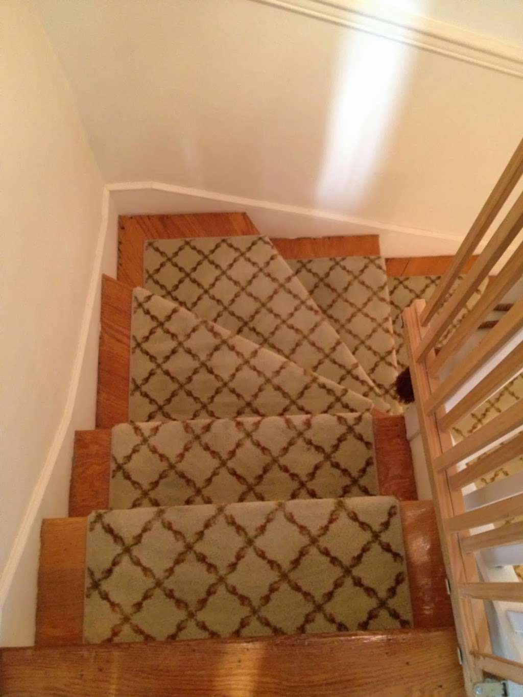 Signature Carpet | 707 Walt Whitman Rd # 1, Melville, NY 11747, USA | Phone: (631) 547-8888