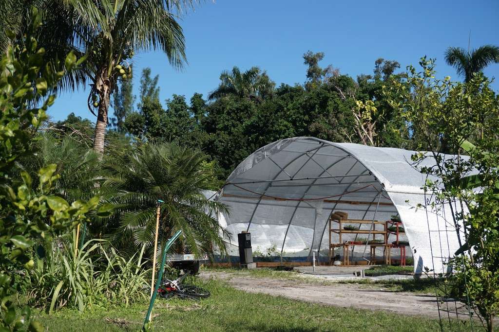 Tree Amigos Growers | 10900 SW 48th St, Davie, FL 33328, USA | Phone: (954) 391-1077