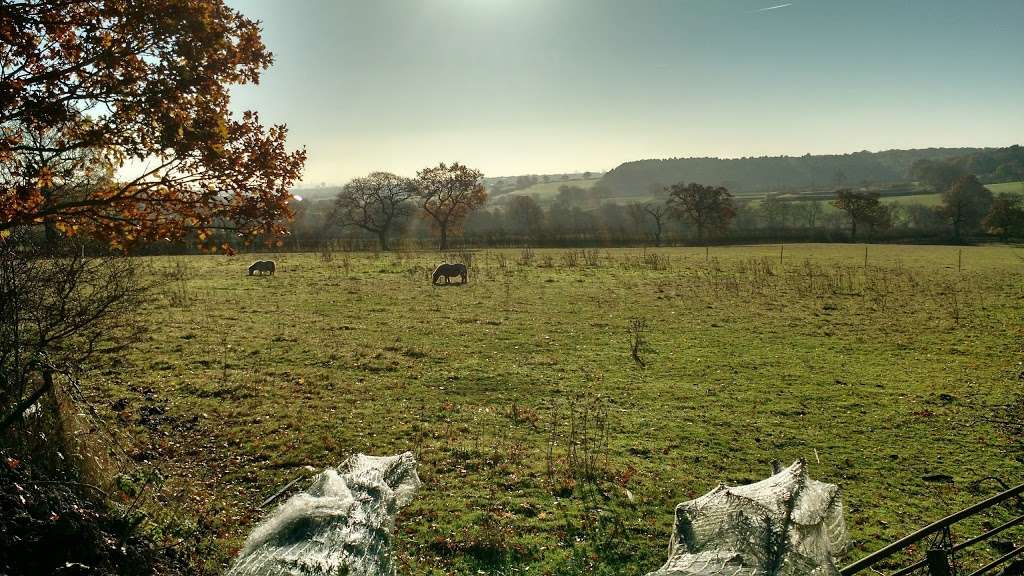 Botany Bay Farm Shop | The Ridgeway, Enfield EN2 8AP, UK | Phone: 020 8366 4929