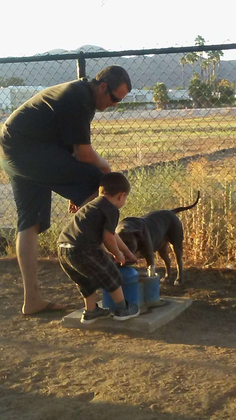 Dog Park | 29621 Park City Ave, Menifee, CA 92584, USA