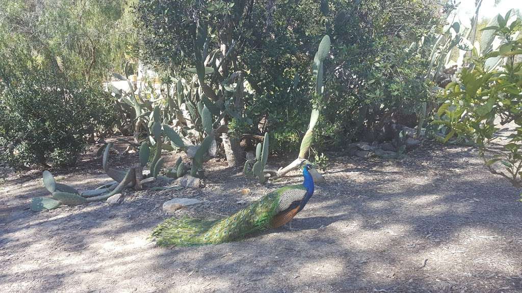 Leo Carrillo Ranch Historic Park | 6200 Flying Leo Carrillo Ln, Carlsbad, CA 92009, USA | Phone: (760) 476-1042