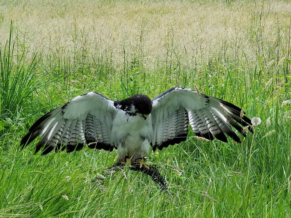 Seward Park Audubon Center | 5902 Lake Washington Blvd S, Seattle, WA 98118, USA | Phone: (206) 652-2444