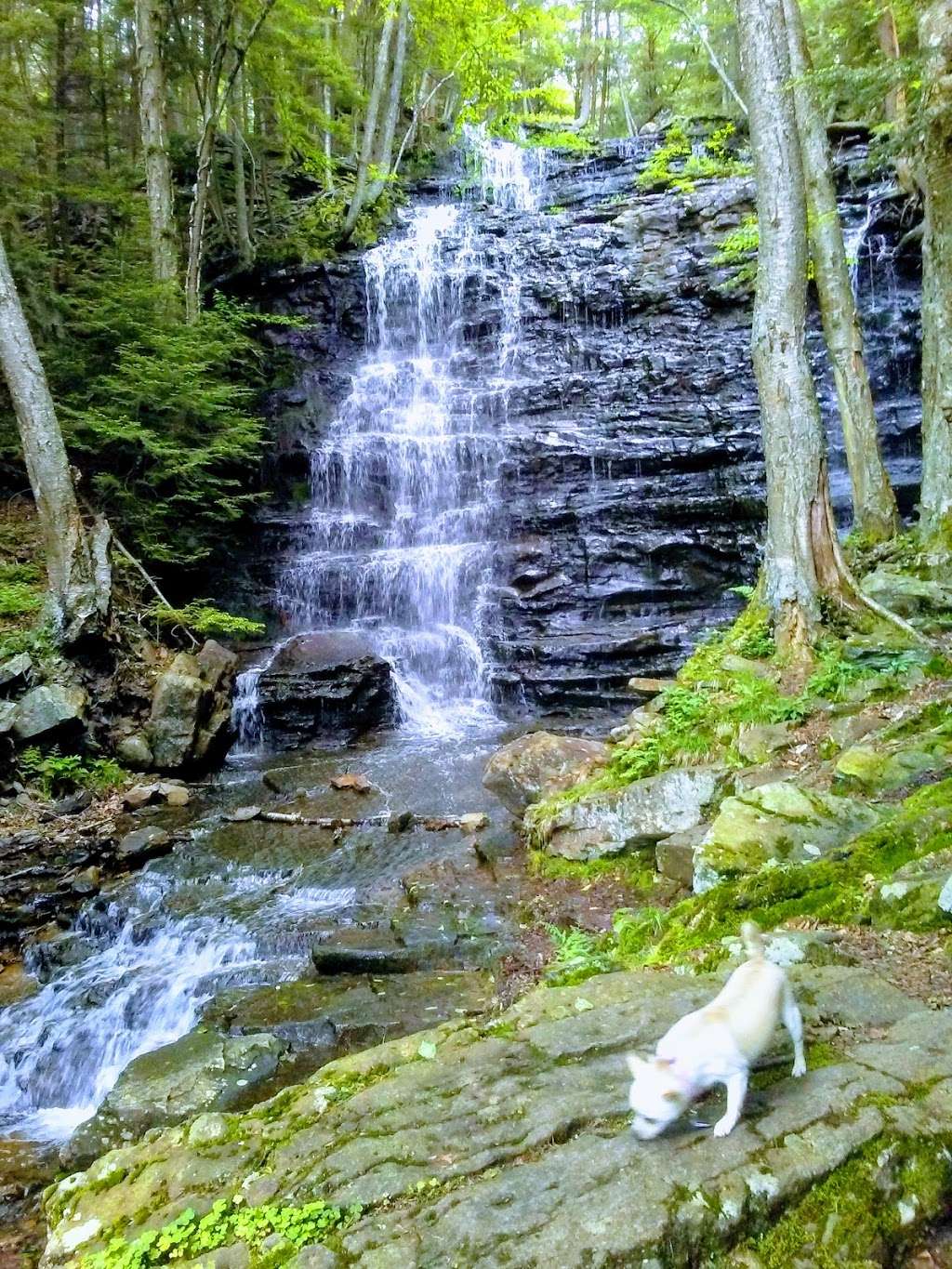 Bear Creek Falls | State Rte 2041, Wilkes-Barre, PA 18702, USA